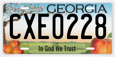 GA license plate CXE0228