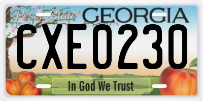 GA license plate CXE0230