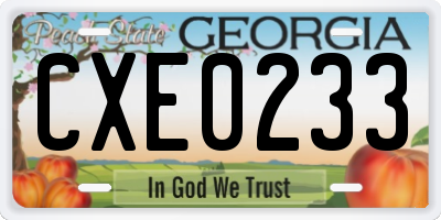 GA license plate CXE0233