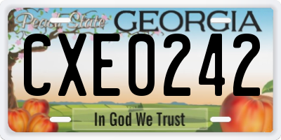 GA license plate CXE0242