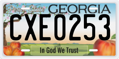 GA license plate CXE0253