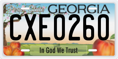 GA license plate CXE0260