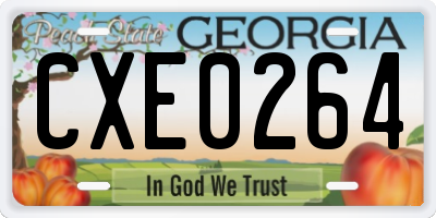 GA license plate CXE0264