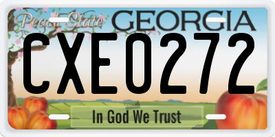 GA license plate CXE0272