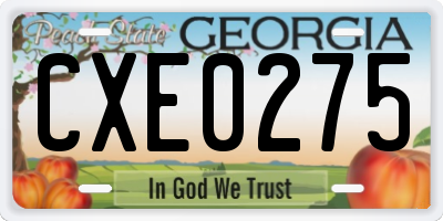 GA license plate CXE0275