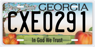 GA license plate CXE0291