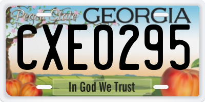 GA license plate CXE0295