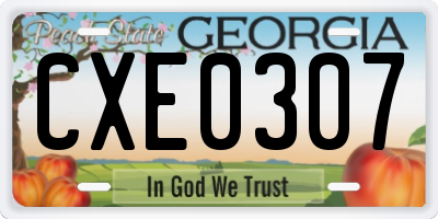GA license plate CXE0307