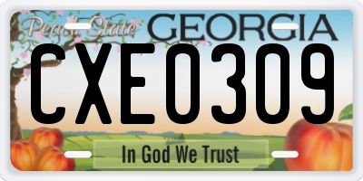 GA license plate CXE0309