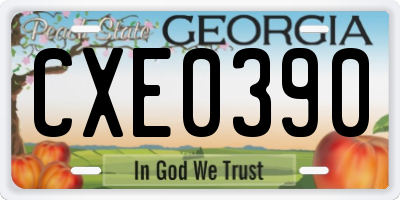 GA license plate CXE0390