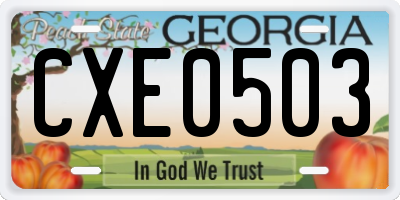 GA license plate CXE0503
