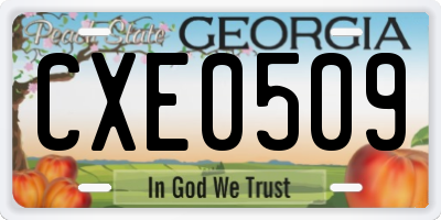 GA license plate CXE0509