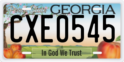 GA license plate CXE0545