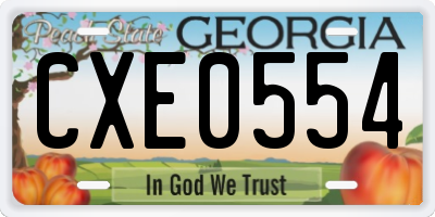GA license plate CXE0554