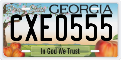 GA license plate CXE0555