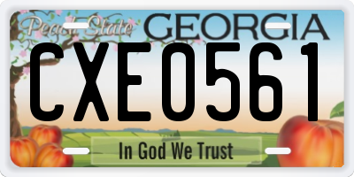 GA license plate CXE0561