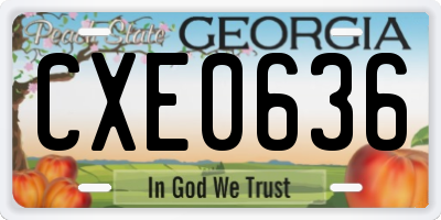 GA license plate CXE0636