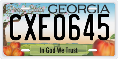 GA license plate CXE0645