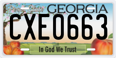 GA license plate CXE0663