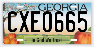 GA license plate CXE0665