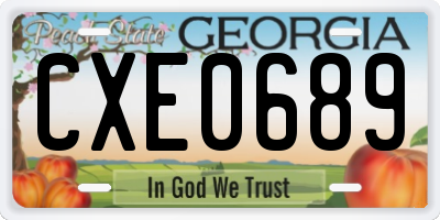 GA license plate CXE0689