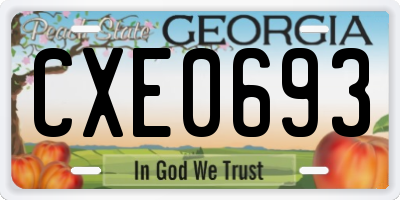 GA license plate CXE0693