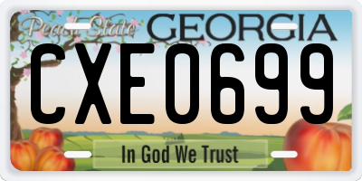 GA license plate CXE0699