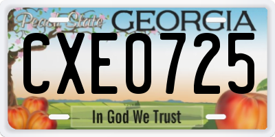 GA license plate CXE0725