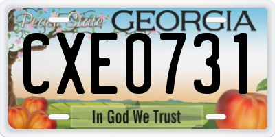 GA license plate CXE0731