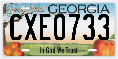 GA license plate CXE0733