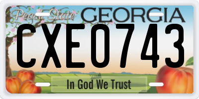 GA license plate CXE0743