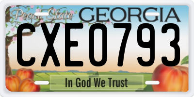GA license plate CXE0793
