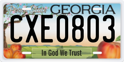 GA license plate CXE0803