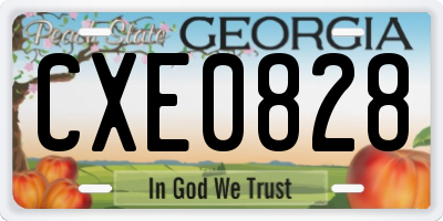 GA license plate CXE0828