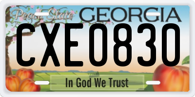 GA license plate CXE0830