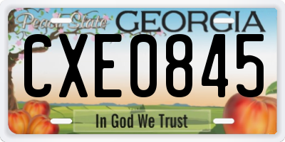 GA license plate CXE0845