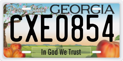 GA license plate CXE0854