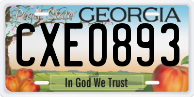 GA license plate CXE0893