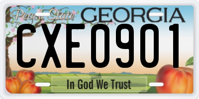 GA license plate CXE0901