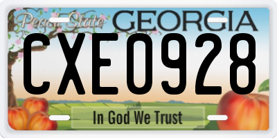 GA license plate CXE0928