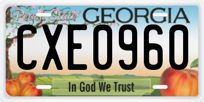 GA license plate CXE0960