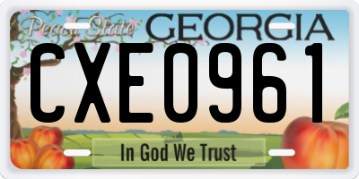 GA license plate CXE0961