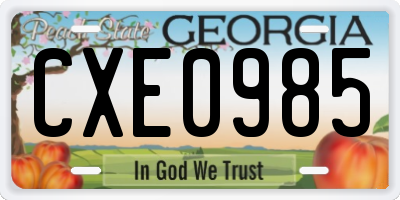 GA license plate CXE0985