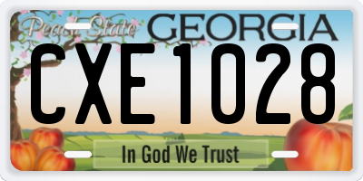 GA license plate CXE1028