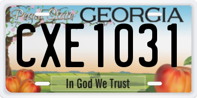 GA license plate CXE1031