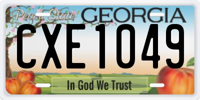 GA license plate CXE1049
