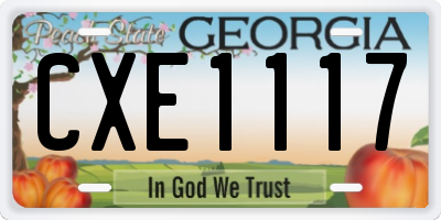GA license plate CXE1117