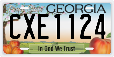 GA license plate CXE1124