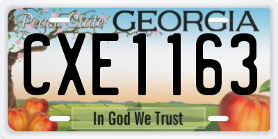 GA license plate CXE1163