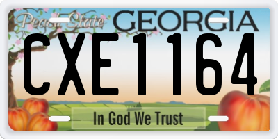GA license plate CXE1164